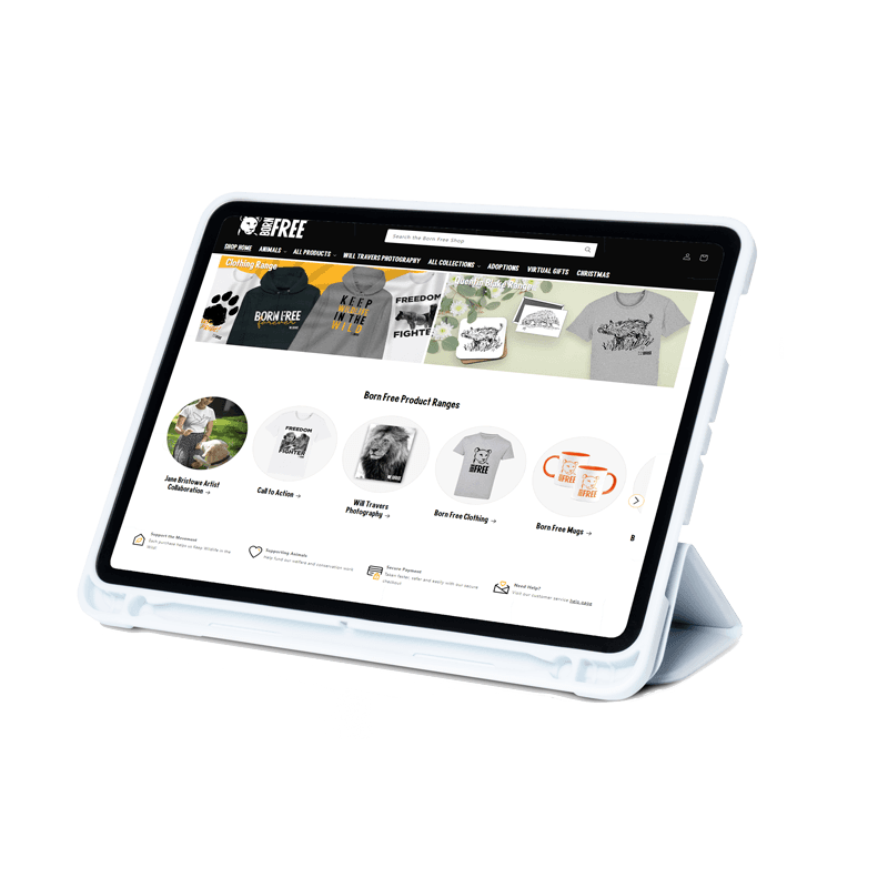 Affordable websites for small businesses